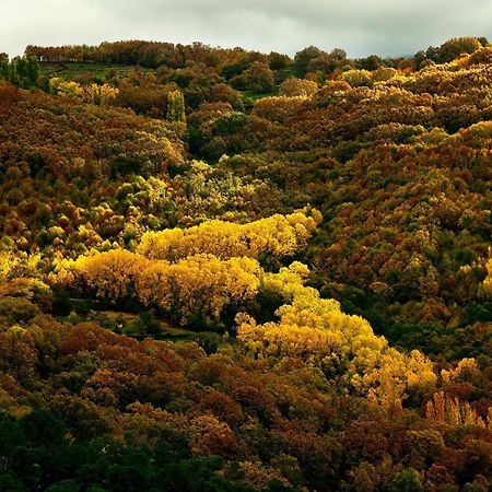 Aroma De Primavera En Casas Rurales Acebuche Casas del Monte Екстериор снимка