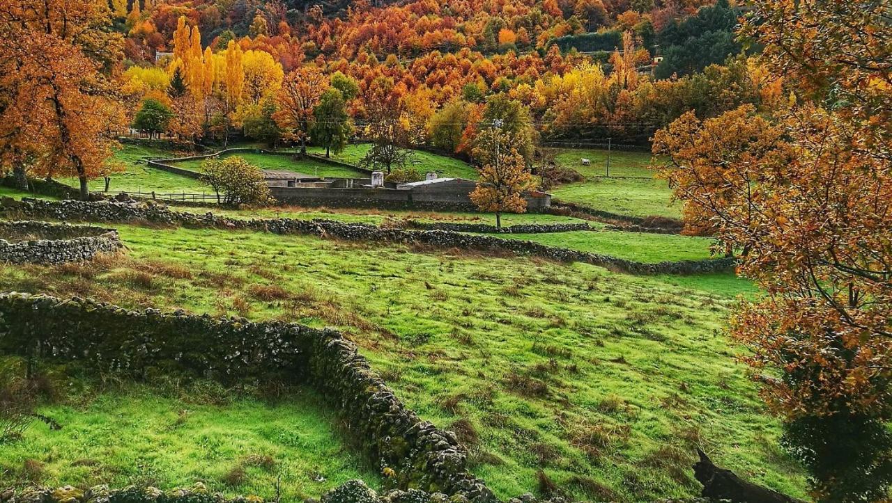 Aroma De Primavera En Casas Rurales Acebuche Casas del Monte Екстериор снимка