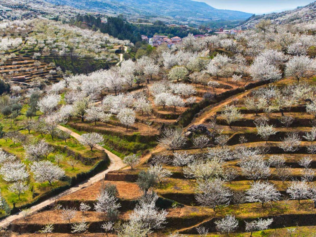 Aroma De Primavera En Casas Rurales Acebuche Casas del Monte Екстериор снимка