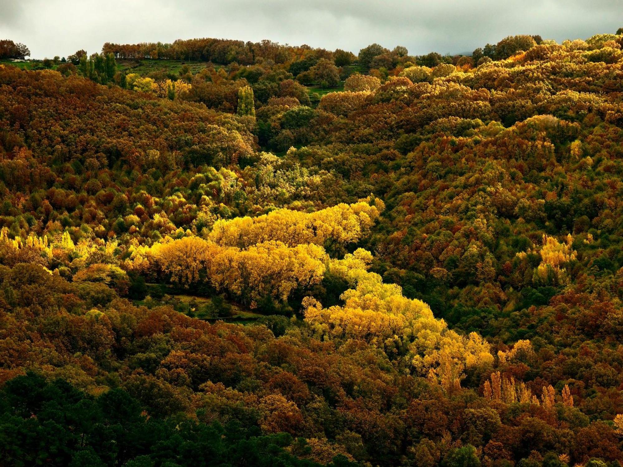 Aroma De Primavera En Casas Rurales Acebuche Casas del Monte Екстериор снимка
