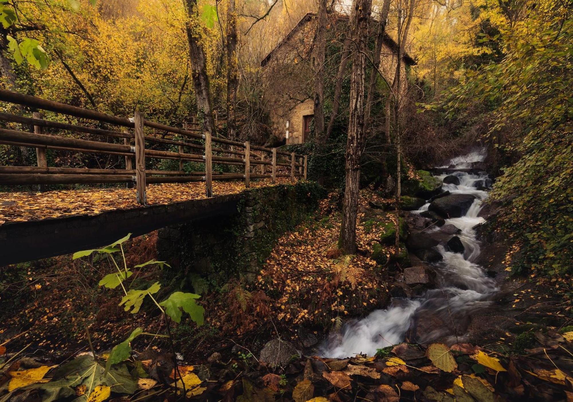 Aroma De Primavera En Casas Rurales Acebuche Casas del Monte Екстериор снимка