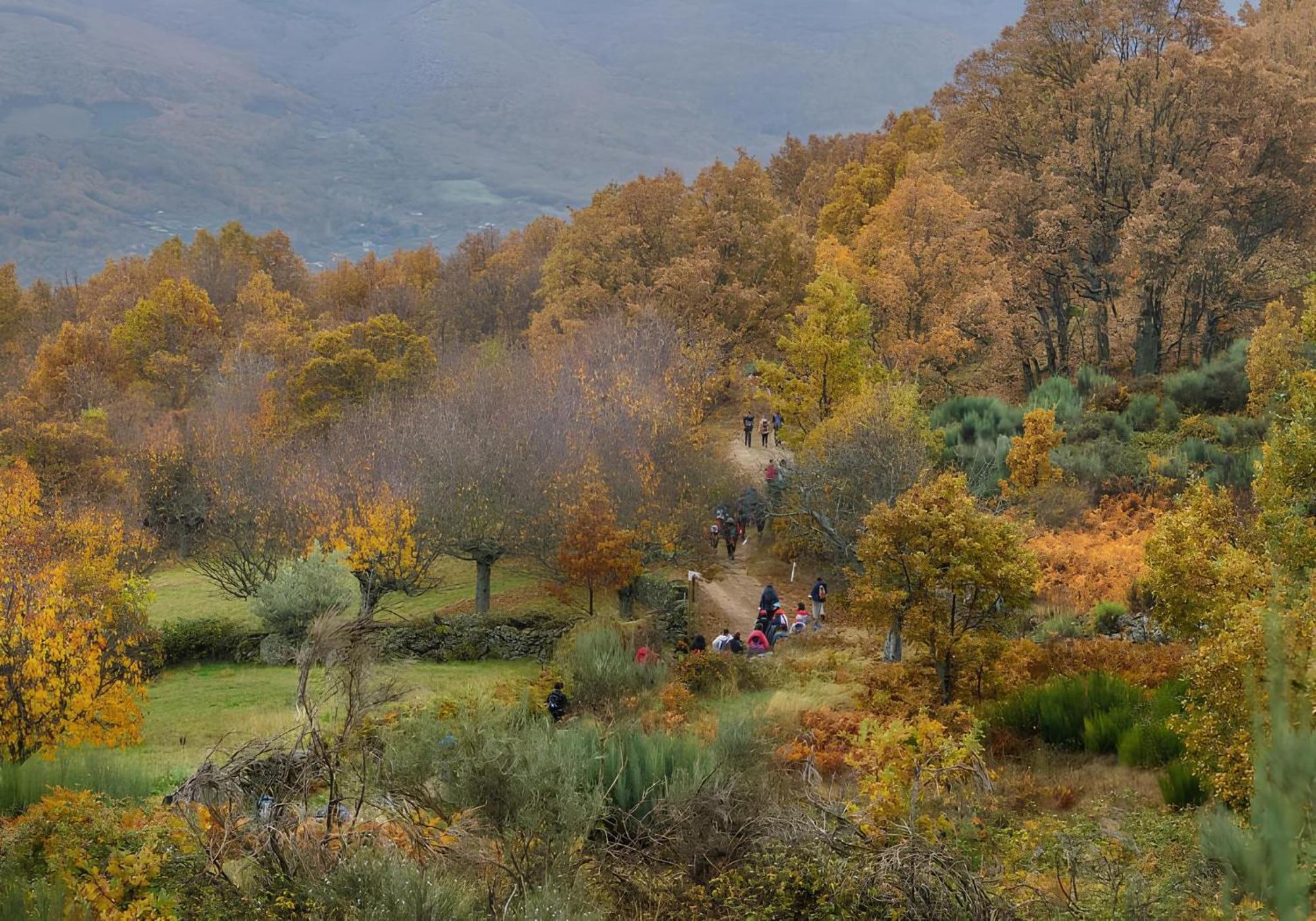 Aroma De Primavera En Casas Rurales Acebuche Casas del Monte Екстериор снимка