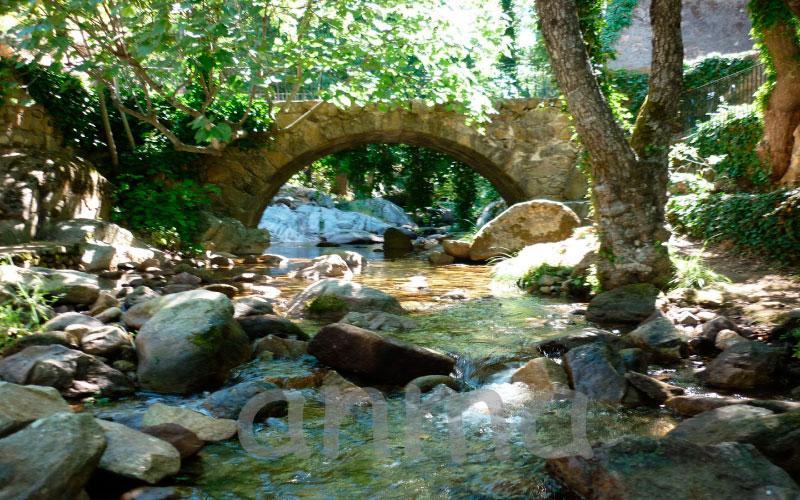 Aroma De Primavera En Casas Rurales Acebuche Casas del Monte Екстериор снимка